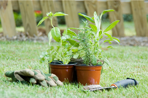 herb garden equipment